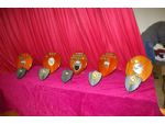 The perpetual trophies and the winners trophies